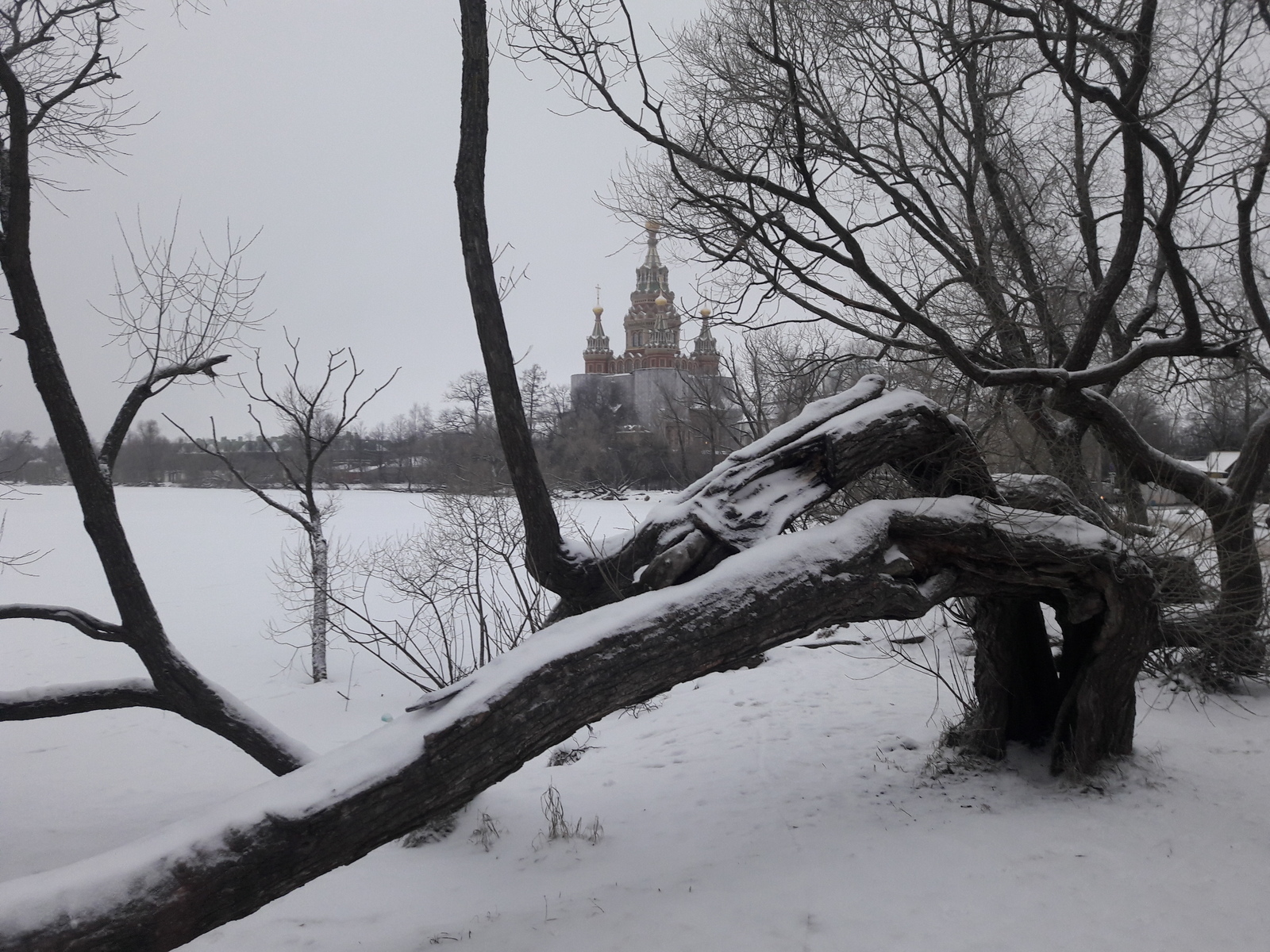 Петергофский хронограф. Январь в Петергофе.