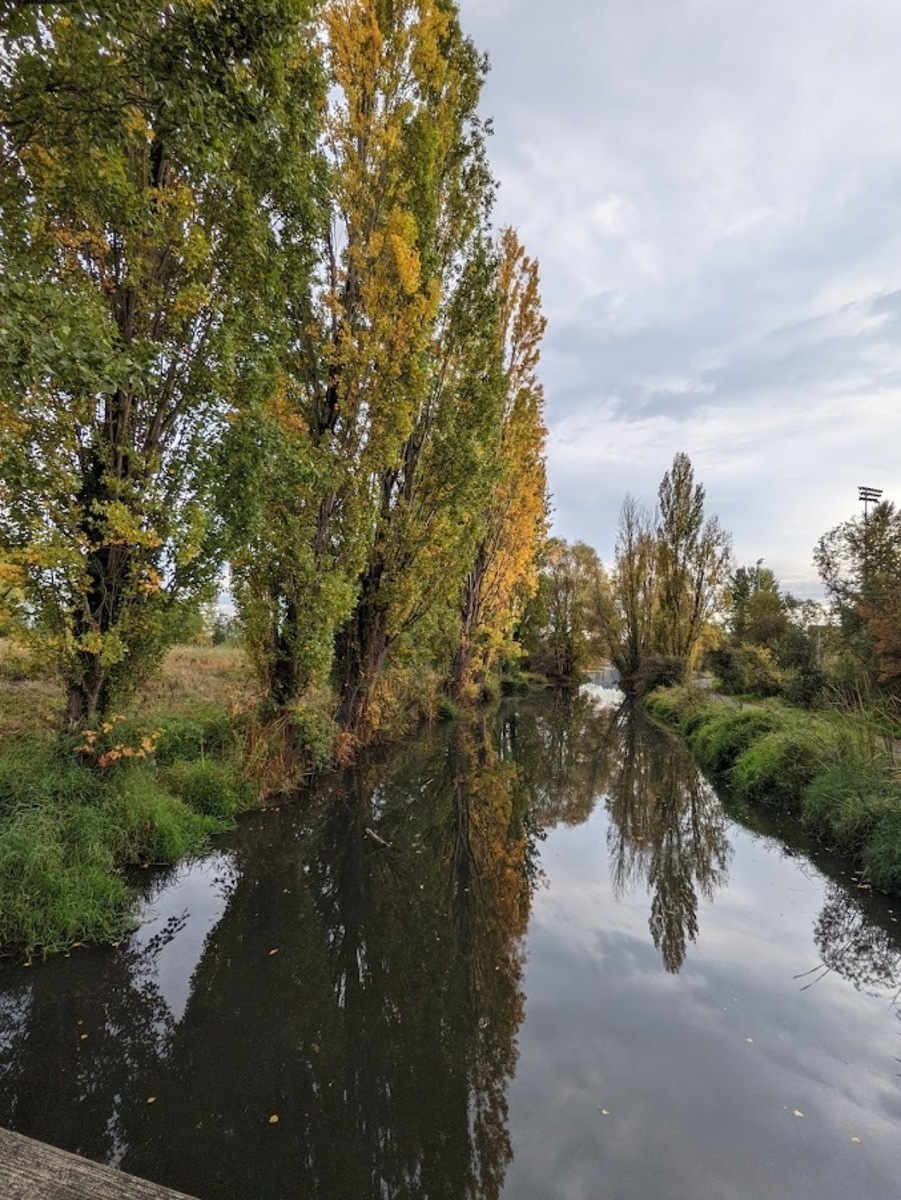 Dime Lot and Ravenna Creek Bridge