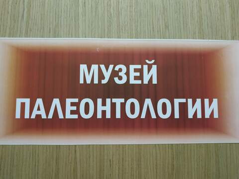Школьный палеонтологический музей