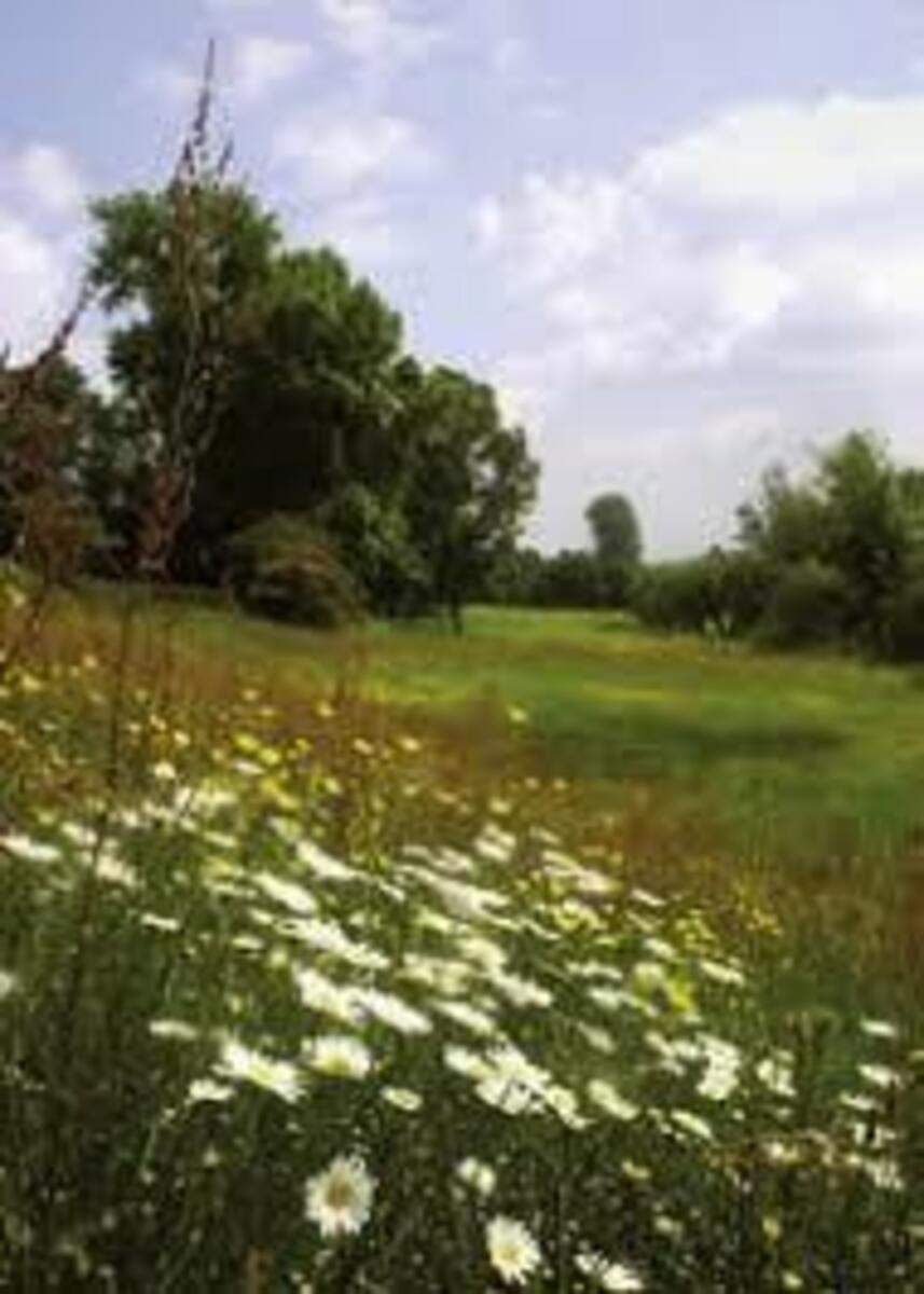 Kopkensberg