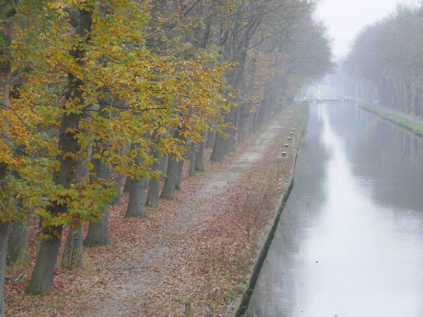 Kanaal Dessel-Schoten