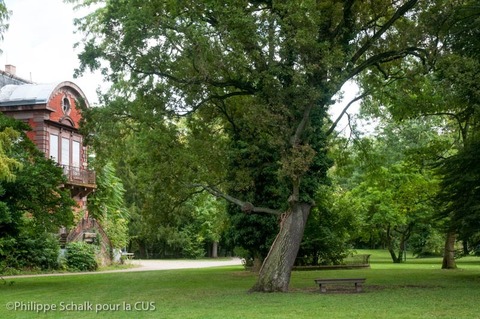 BALADE NATURE Saint-Gall