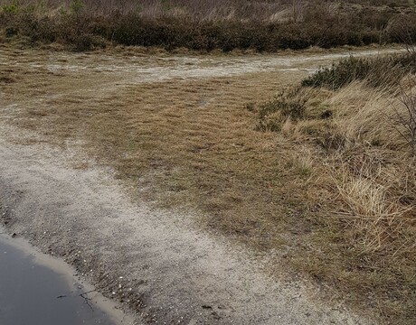 Bocht naar Rechts