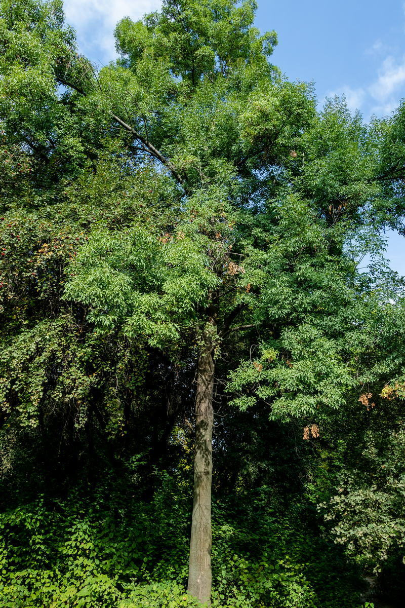 Oyoqlarini yoygan yalangoch ayollar fotosurati Semiz odamlar porno galereyasi