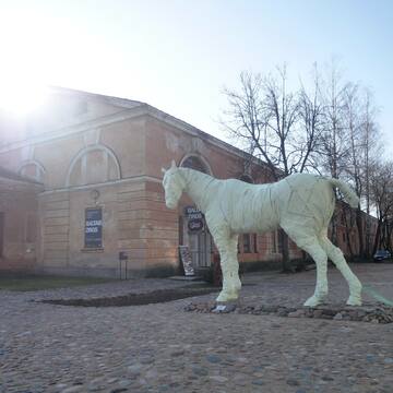 The Ghost of the Fortress