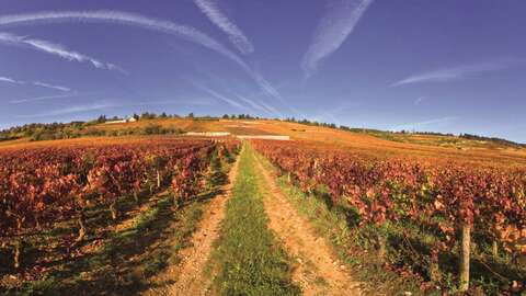 Circuit des crêtes à Santenay