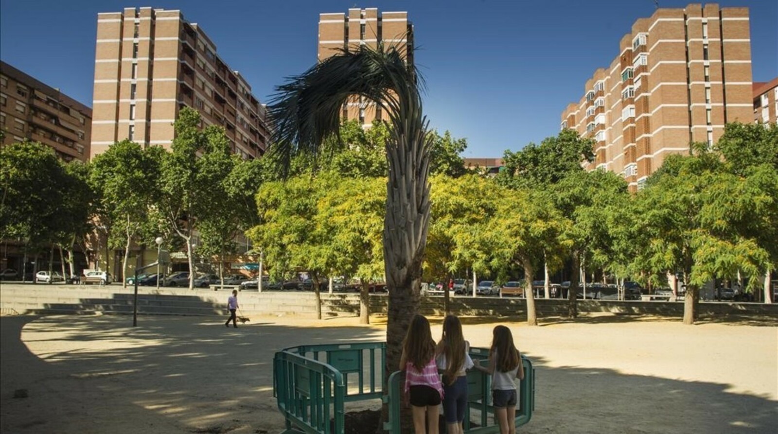 Placa De La Palmera De Sant Marti