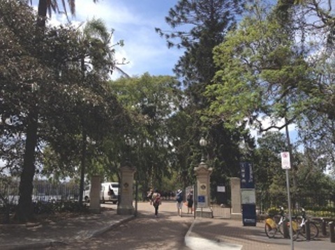 Bidwill Avenue