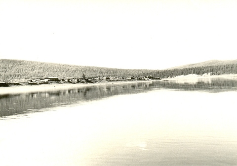 Оглоблина