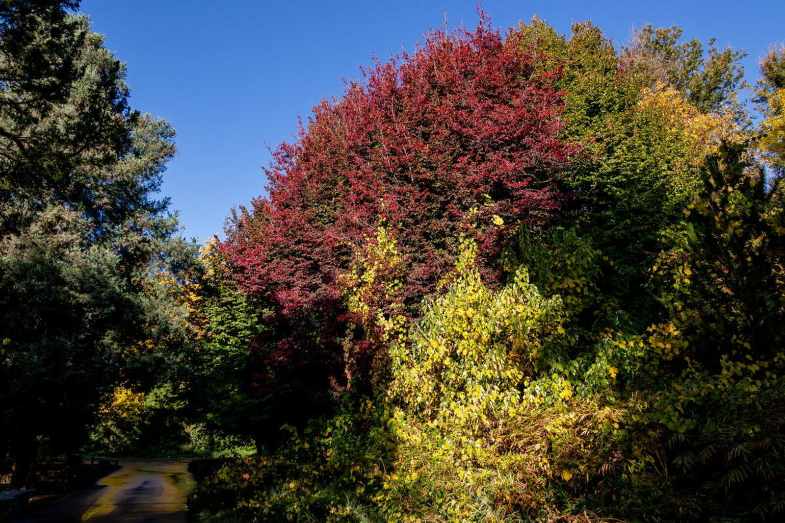 Oriq qizlar porno rasmlar Vaginallarning yaqindan olingan fotosuratlari