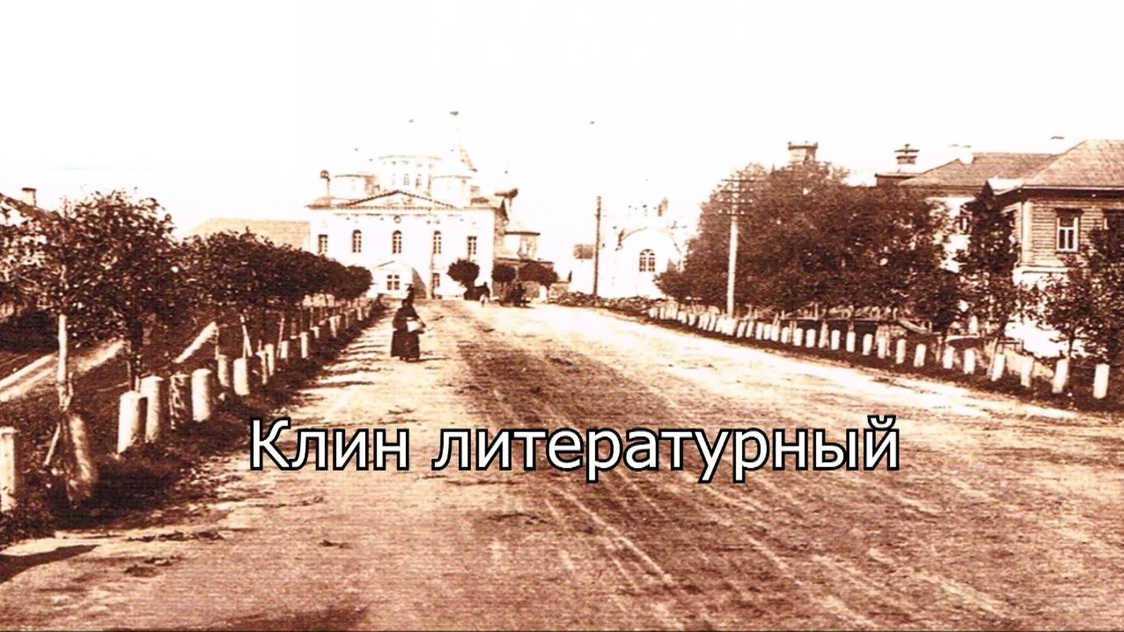 Клин литературный