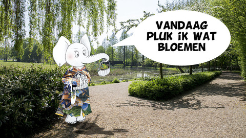 Pita Parkfaant